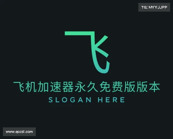 关于飞机加速器永久免费版版本
